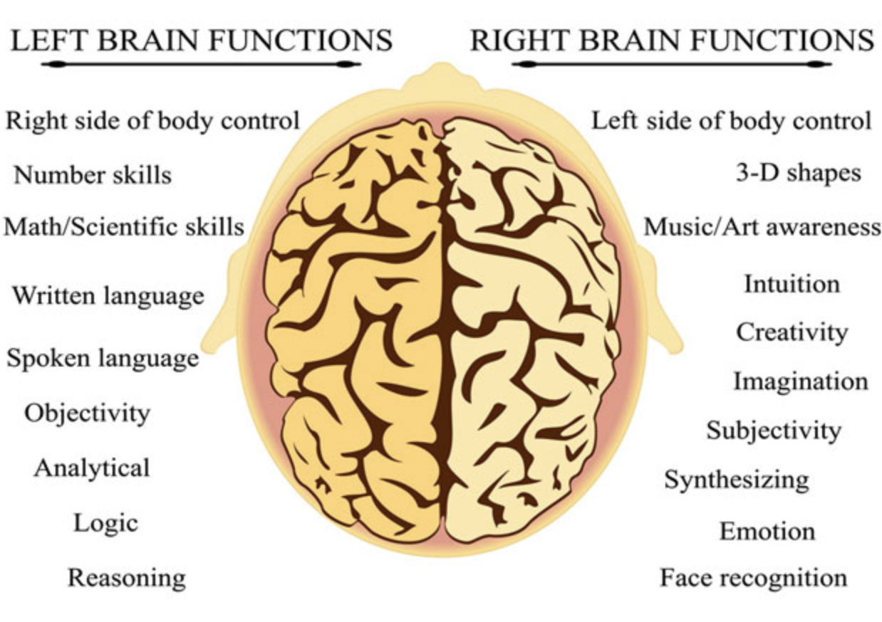 Abacus mental calculation visualization